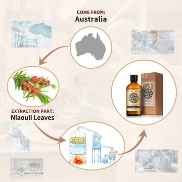 Niaouli Essential Oil AKARZ Natural And Pure (30ML 100ML )